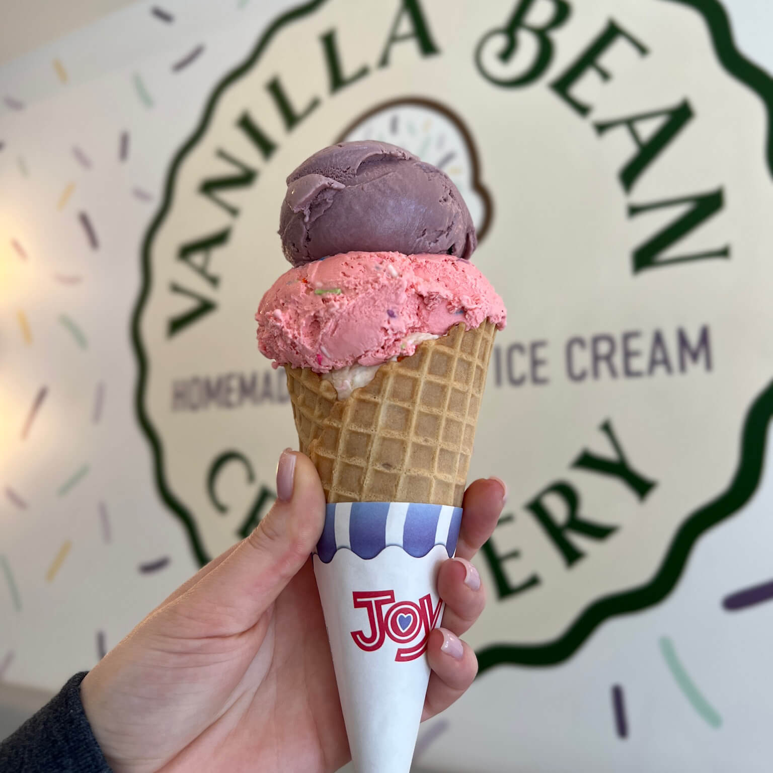 Ice Cream cone double scoop